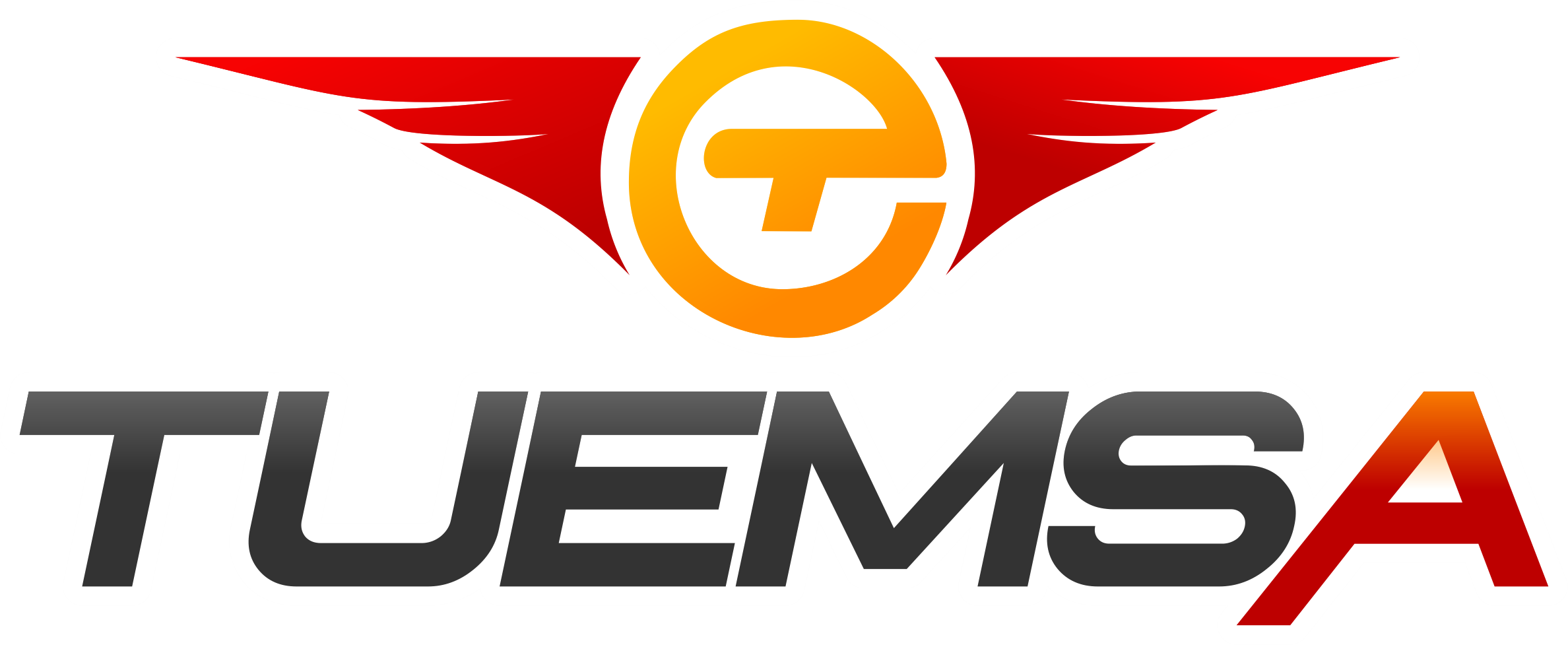 logo_tuemsa